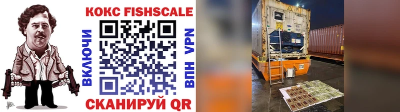 купить  сайты  Знаменск  COCAIN Fish Scale 