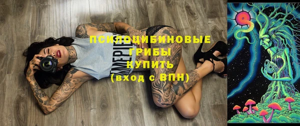 Альфа ПВП Елабуга