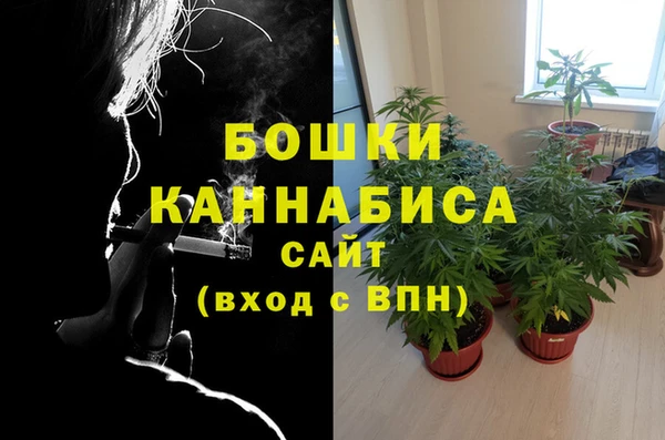Альфа ПВП Елабуга