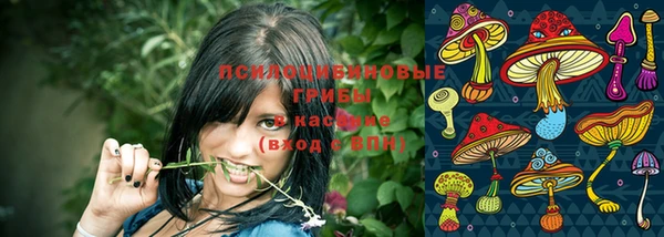 наркотики Елизово