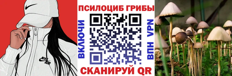 KRAKEN рабочий сайт  Знаменск  Псилоцибиновые грибы MAGIC MUSHROOMS  где купить  